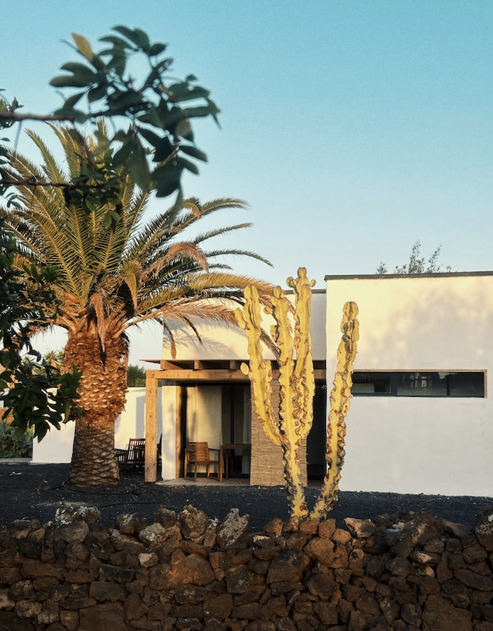 Finca Außenansicht mit Palme